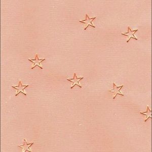 Meet your Posher, Anusha